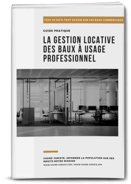 La gestion locative des baux à usage professionnel - Guide Juridique (PDF)